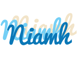 Niamh breeze logo