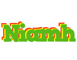 Niamh crocodile logo