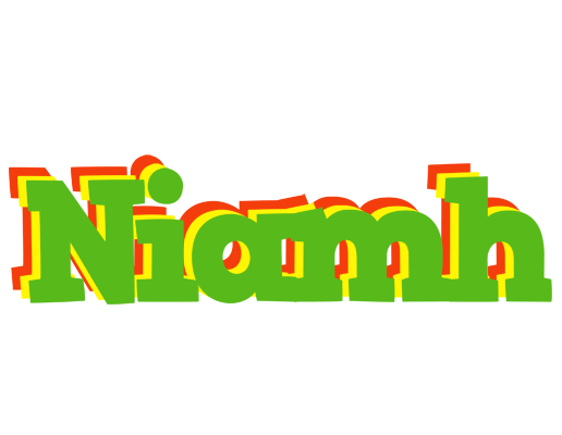 Niamh crocodile logo