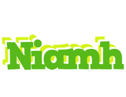 Niamh picnic logo