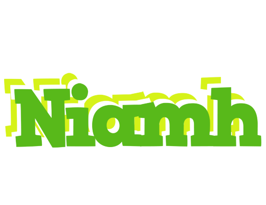 Niamh picnic logo