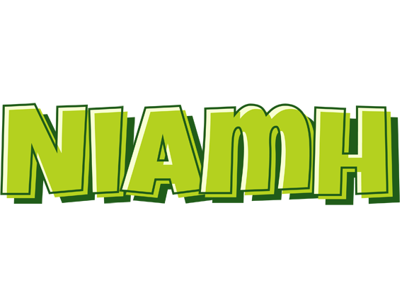 Niamh summer logo