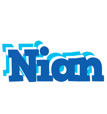 Nian business logo