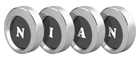 Nian coins logo