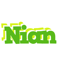 Nian picnic logo