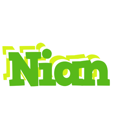 Nian picnic logo