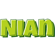 Nian summer logo