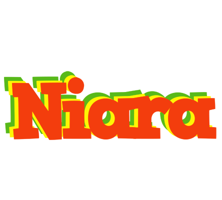 Niara bbq logo