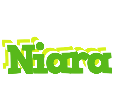 Niara picnic logo