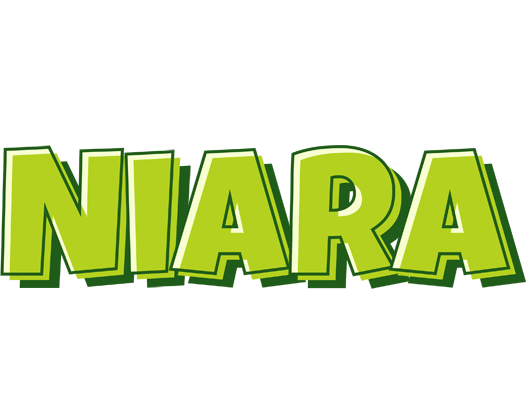Niara summer logo