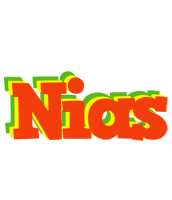 Nias bbq logo