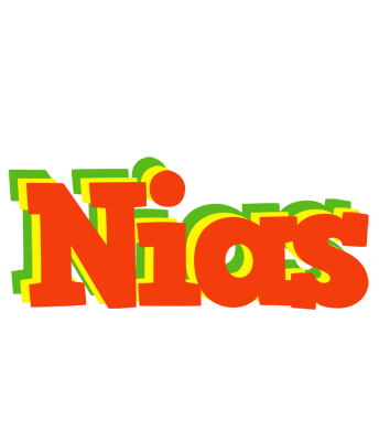 Nias bbq logo
