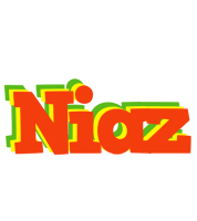 Niaz bbq logo