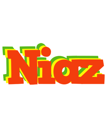 Niaz bbq logo