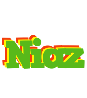 Niaz crocodile logo