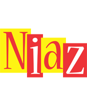 Niaz errors logo