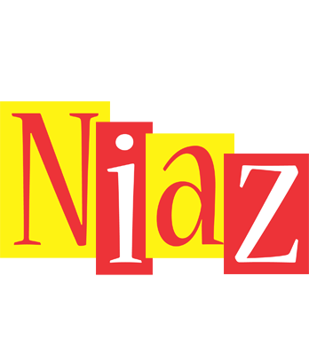 Niaz errors logo