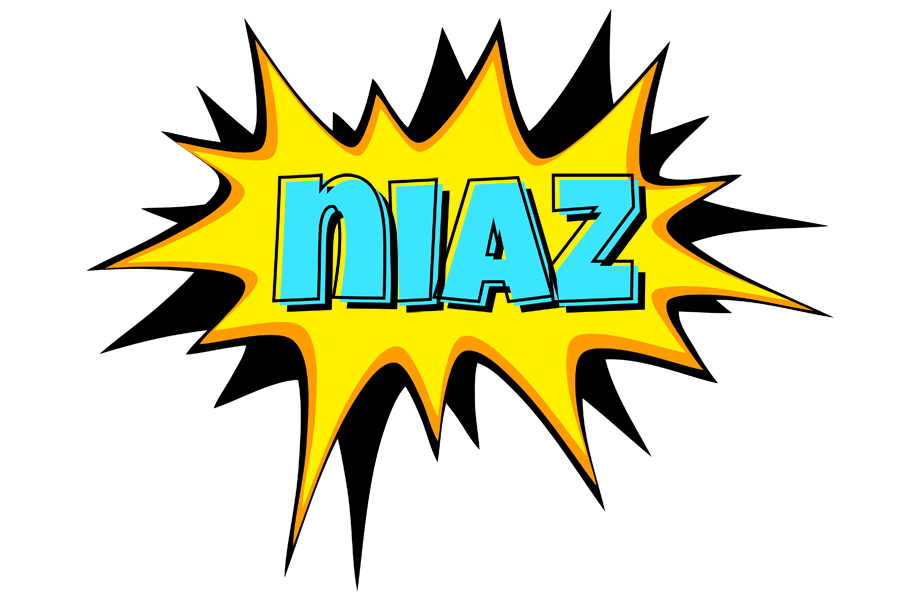 Niaz indycar logo