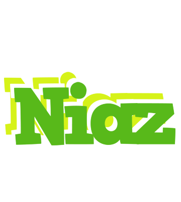 Niaz picnic logo