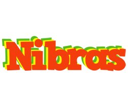 Nibras bbq logo