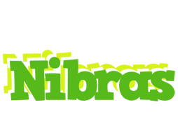 Nibras picnic logo
