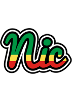 Nic african logo