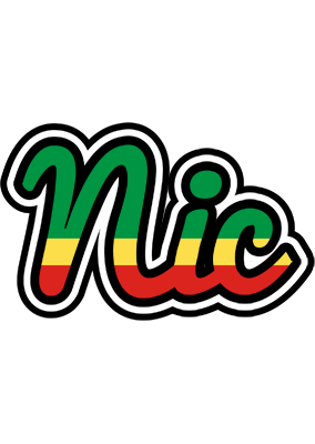 Nic african logo