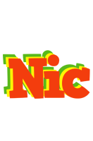 Nic bbq logo