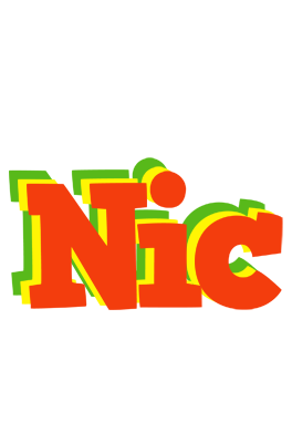 Nic bbq logo