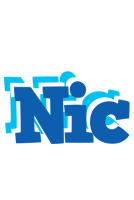 Nic business logo