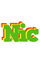 Nic crocodile logo