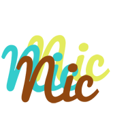 Nic cupcake logo