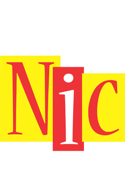 Nic errors logo