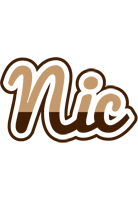 Nic exclusive logo