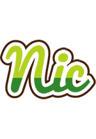Nic golfing logo