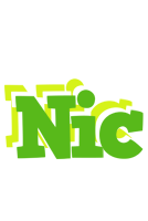 Nic picnic logo