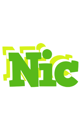 Nic picnic logo