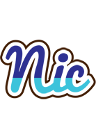 Nic raining logo