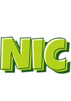 Nic summer logo