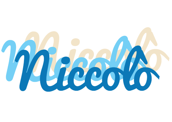Niccolò breeze logo
