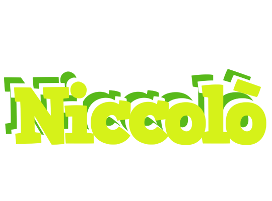Niccolò citrus logo