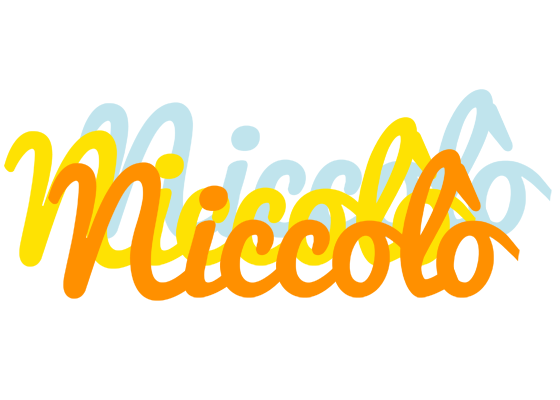 Niccolò energy logo