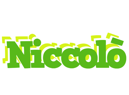 Niccolò picnic logo