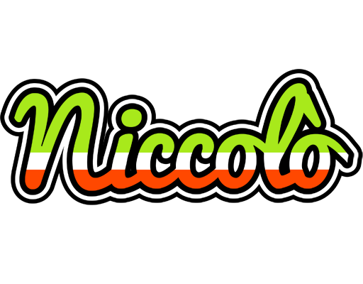 Niccolò superfun logo