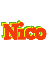 Nico bbq logo