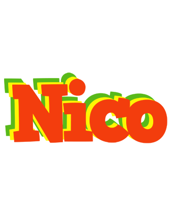 Nico bbq logo