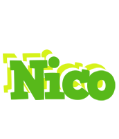 Nico picnic logo