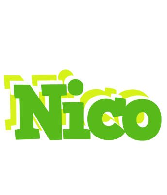 Nico picnic logo