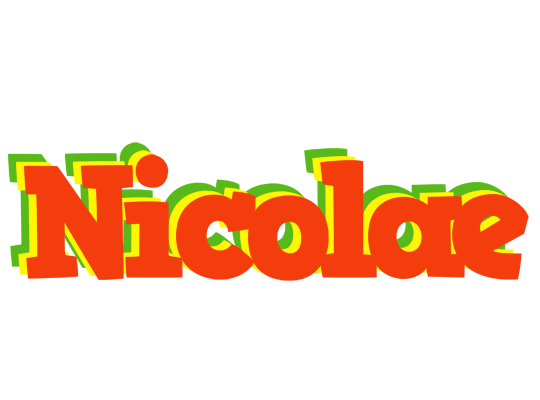 Nicolae bbq logo