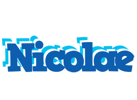 Nicolae business logo